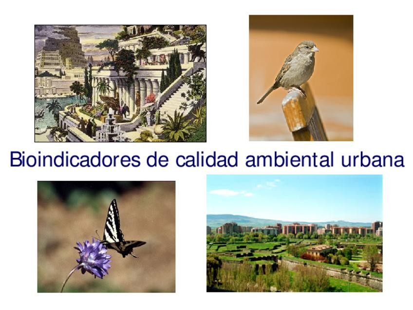 Miniatura del documento TEMA-9-BFC.pdf