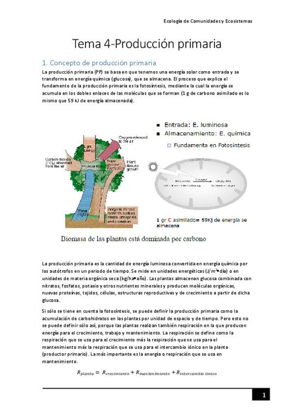 Miniatura del documento Tema-4-Produccion-primaria.pdf
