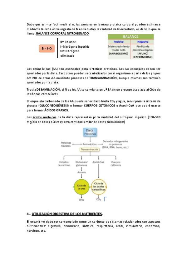 Miniatura del documento TEMA-2.pdf