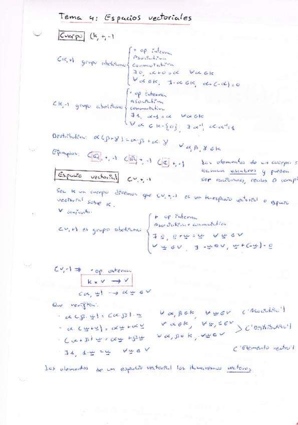 Miniatura del documento ALGMisApuntes4.pdf