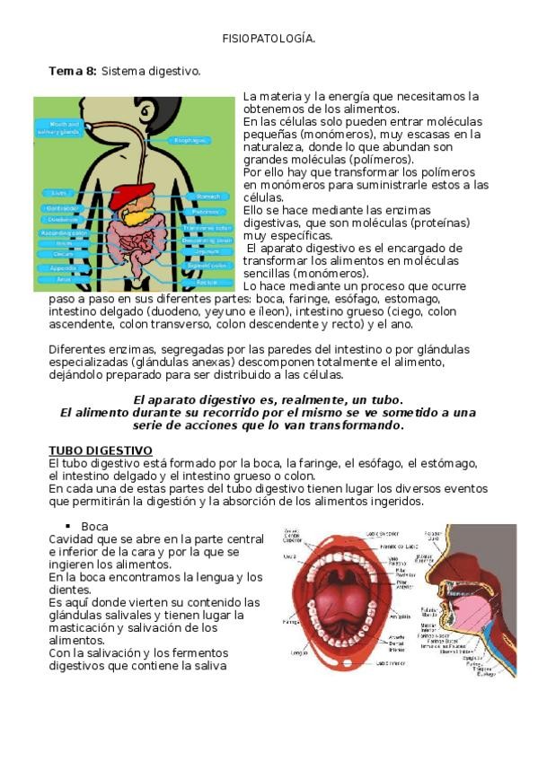 Miniatura del documento Tema-8.docx