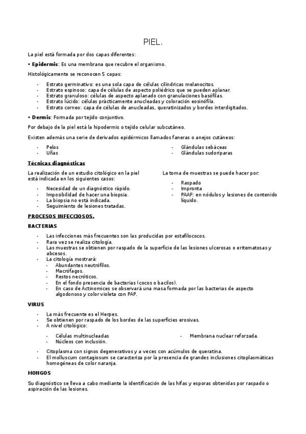 Miniatura del documento PIEL.docx