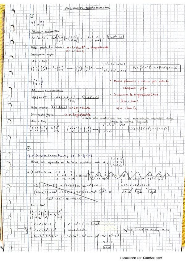Miniatura del documento T3algebraII.pdf