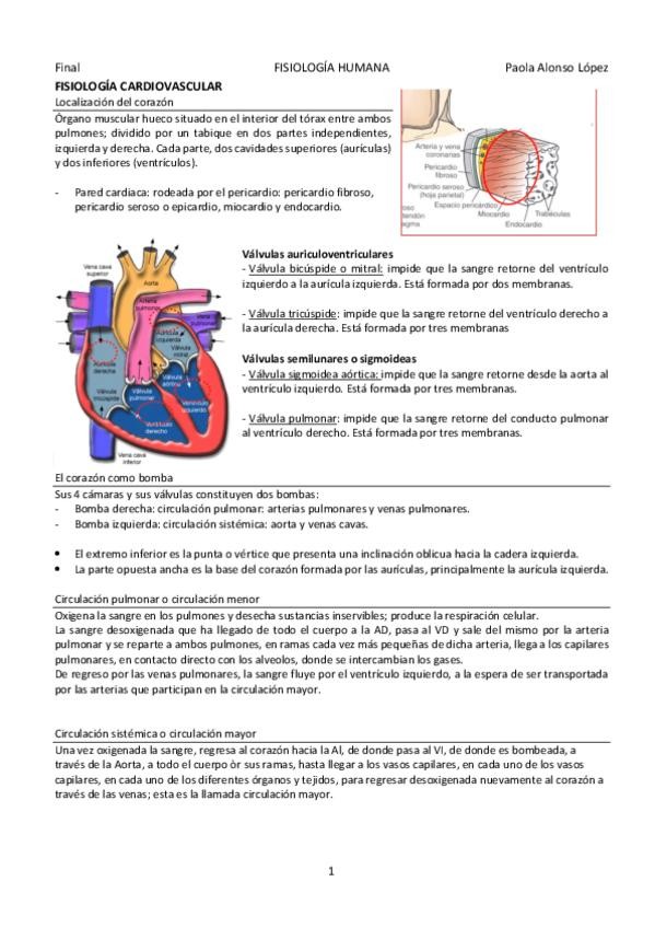 Miniatura del documento FISIOLOGIA-CARDIOVASCULAR.pdf