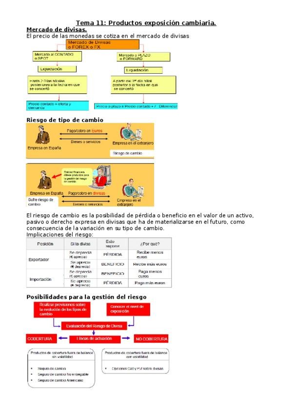 Miniatura del documento Tema-11-resumen-finanzas-intern.docx