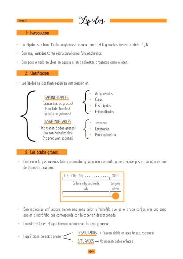 Miniatura del documento T.pdf