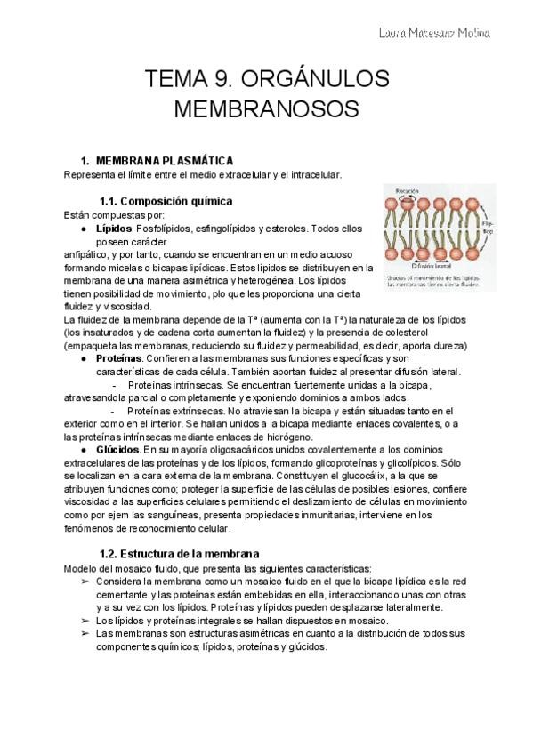 Miniatura del documento Tema-9-Organulos-membranosos.pdf