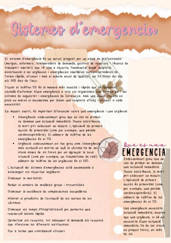 Miniatura del documento Sistema-demergencies.pdf