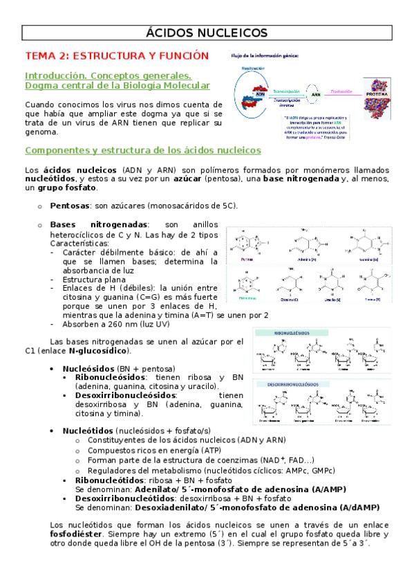 Miniatura del documento TEMA-2.docx