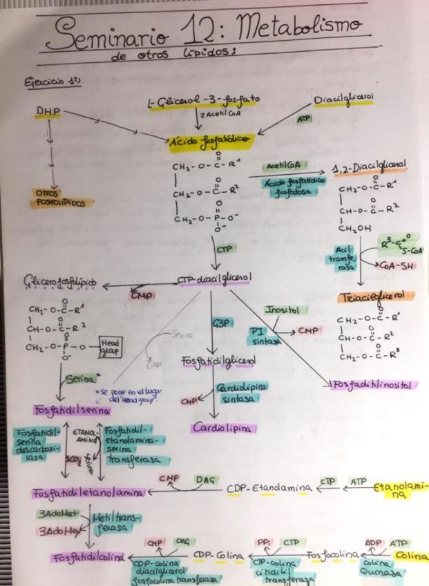 Miniatura del documento SEMINARIO-12.pdf