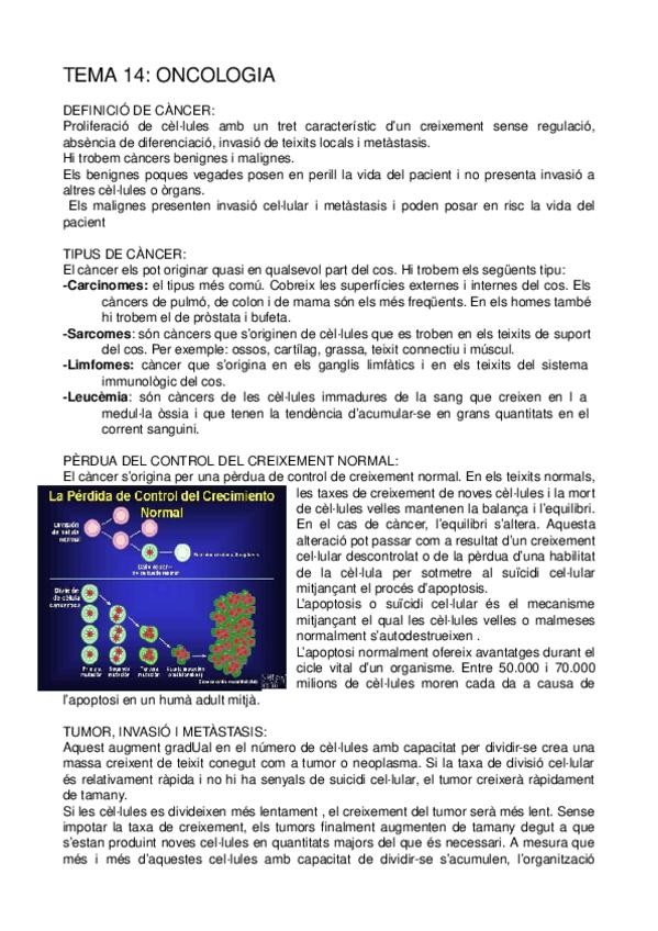 Miniatura del documento TEMA-14.odt