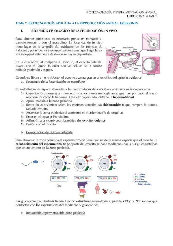 Miniatura del documento TEMA-7.pdf