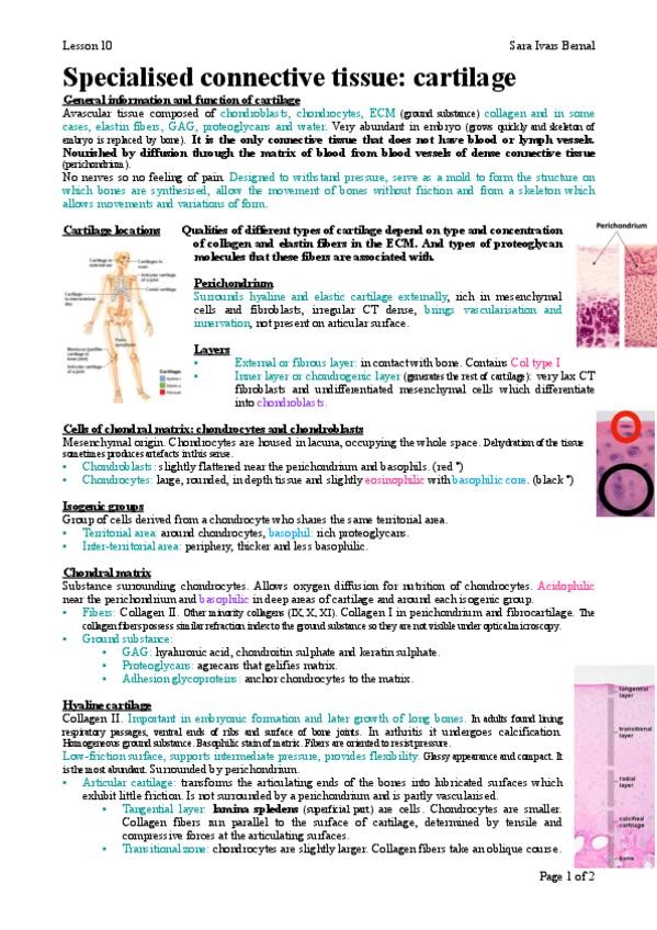 Miniatura del documento 10.pdf