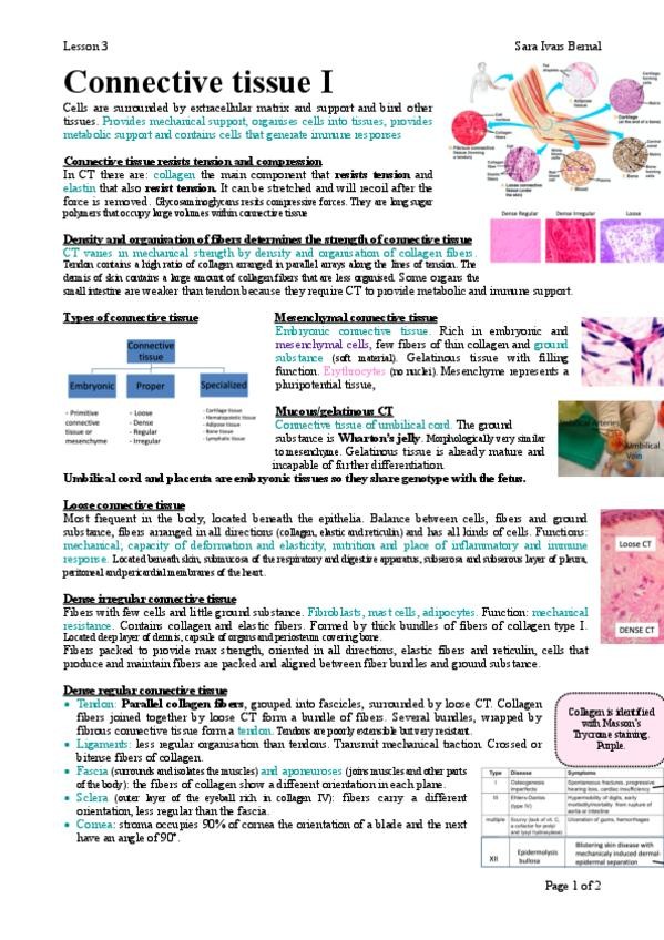 Miniatura del documento 3.pdf