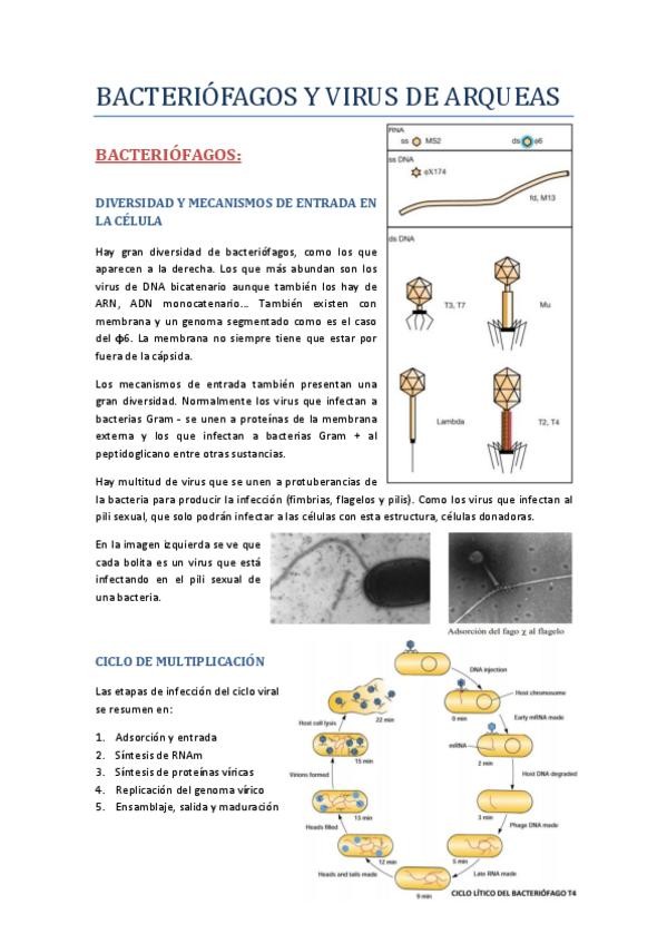 Miniatura del documento TEMA-6-y-7.pdf