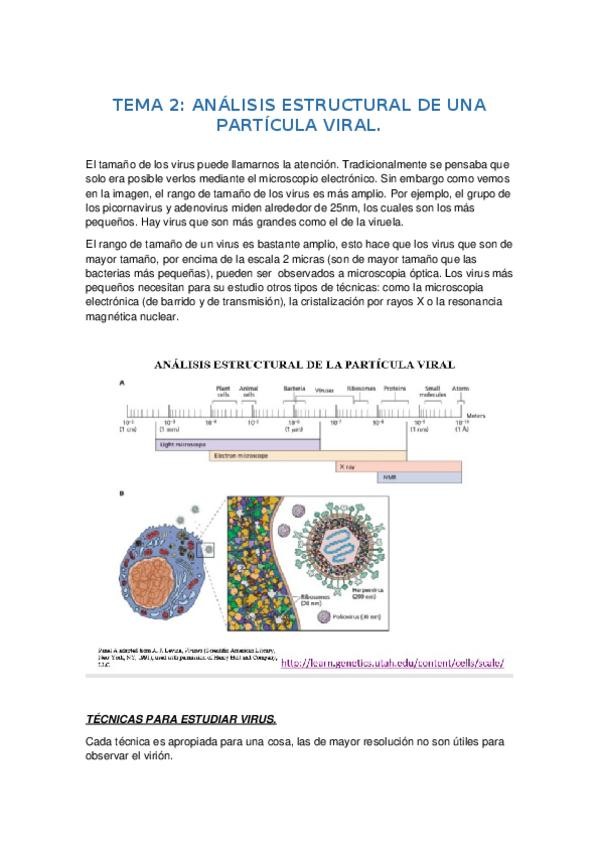 Miniatura del documento Tema-2.docx