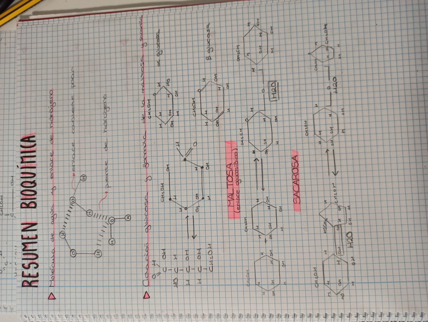 Miniatura del documento RESUMEN-DE-LAS-PRINCIPALES-ESTRUCTURAS-EN-BIOQUIMICA-11-nov.jpg