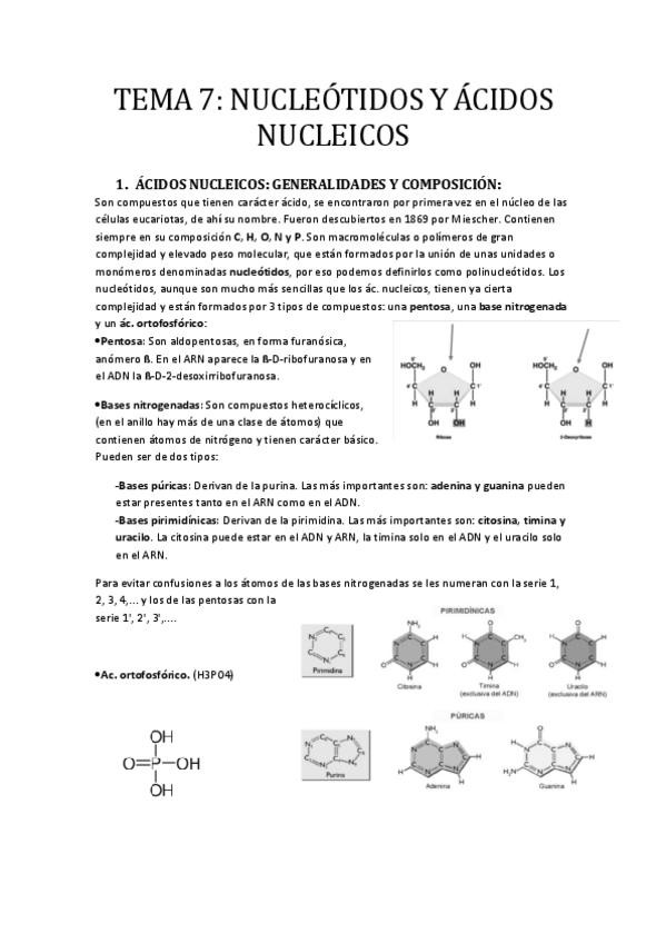 Miniatura del documento -TEMA-7-NUCLEOTIDOS-Y-ACIDOS-NUCLEICOS.pdf