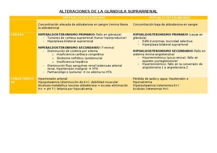 Miniatura del documento esquema-glandula-suprarrenal.docx