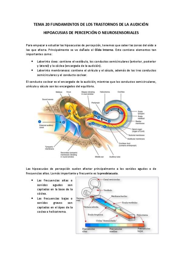 Miniatura del documento TEMA-20-FUNDAMENTOS-DE-LOS-TRASTORNOS-DE-LA-AUDICION.pdf