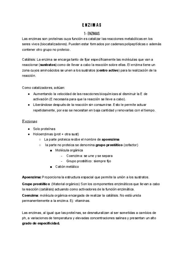 Miniatura del documento UD512-Enzimas-y-Acidos-nucleicos.pdf