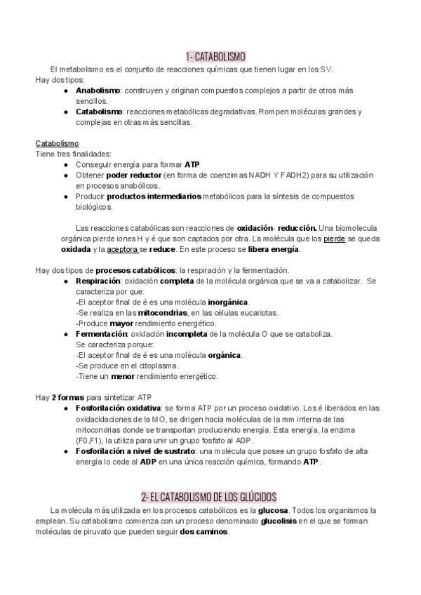 Miniatura del documento UD13-Catabolismo.pdf