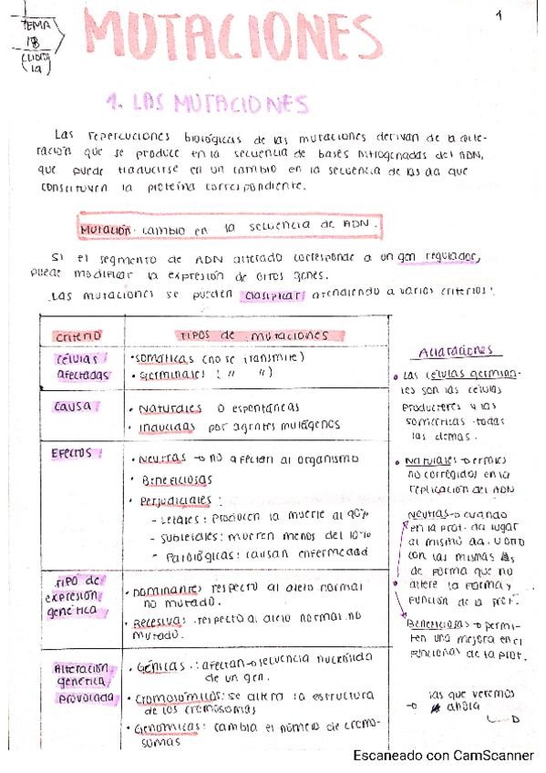 Miniatura del documento UD18-Mutaciones.pdf