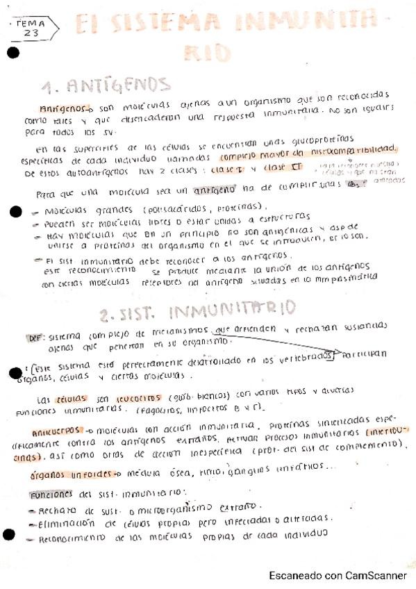 Miniatura del documento UD23-Sistema-inmunitario-1.pdf
