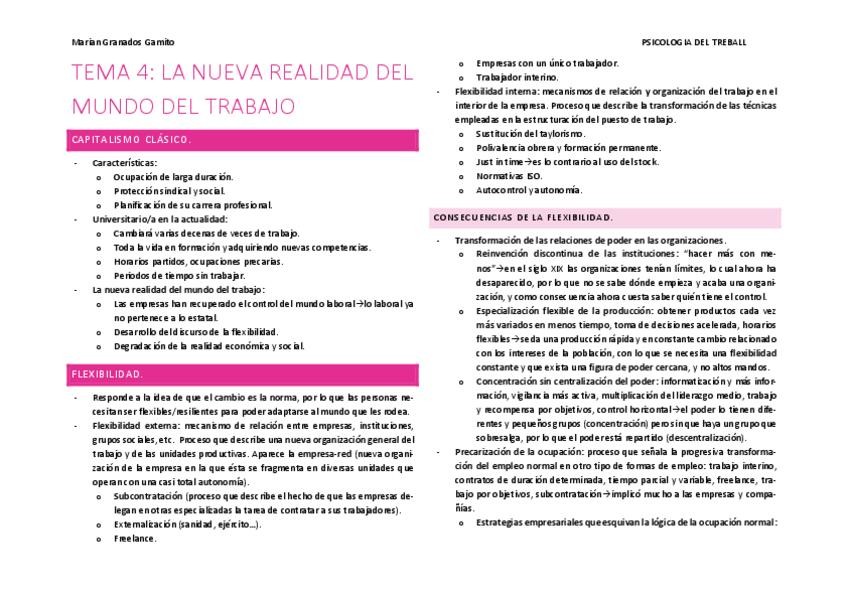 Miniatura del documento TEMA-4.pdf
