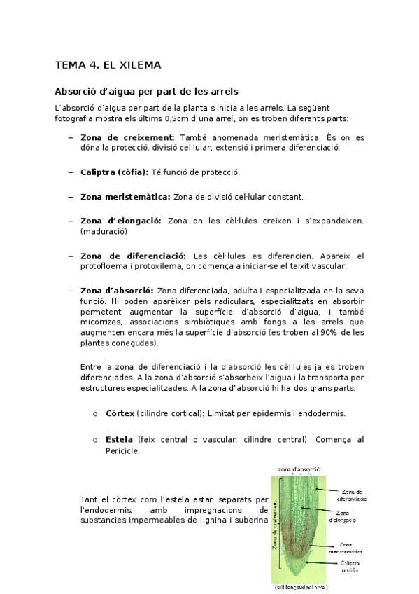 Miniatura del documento 4.odt