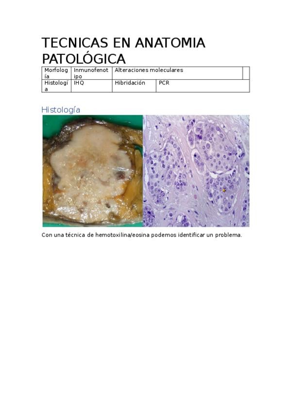 Miniatura del documento Practica-5.docx