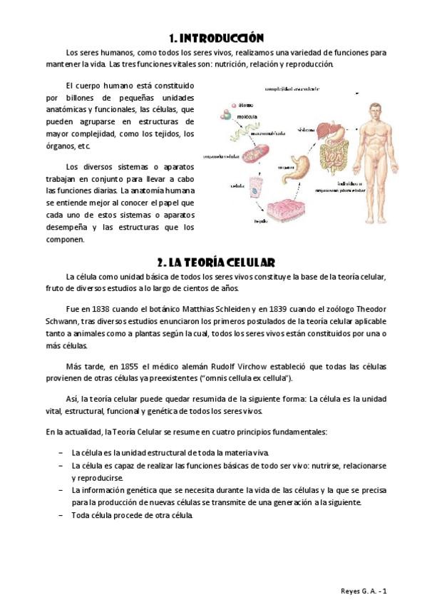 Miniatura del documento TEMA-1.pdf