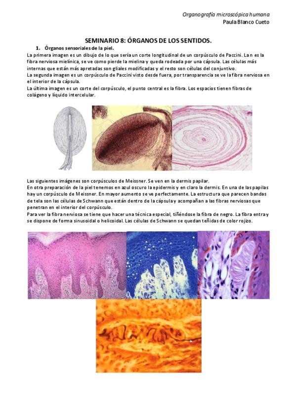 Miniatura del documento SEMINARIO-8.pdf