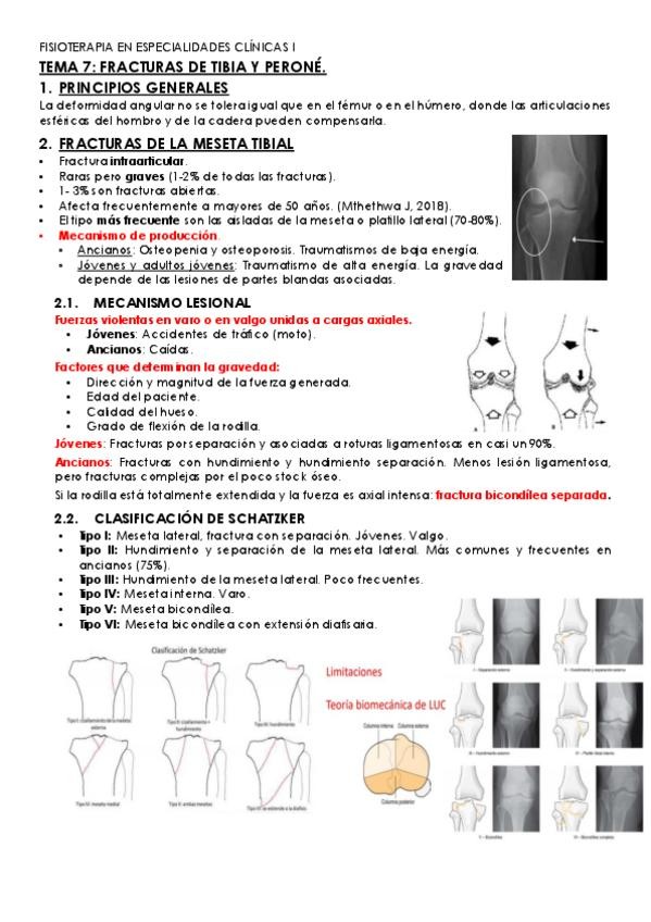 Miniatura del documento TEMA-7-especialidades-clinicas-I.pdf