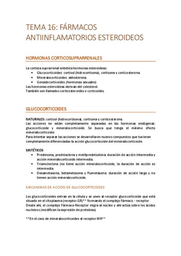 Miniatura del documento T16.pdf