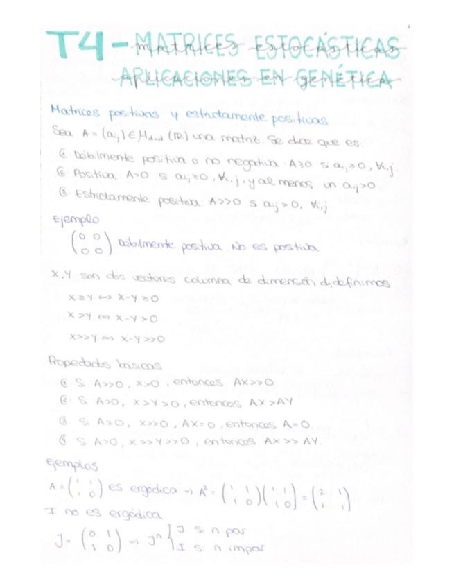 Miniatura del documento Tema4Teoria.pdf