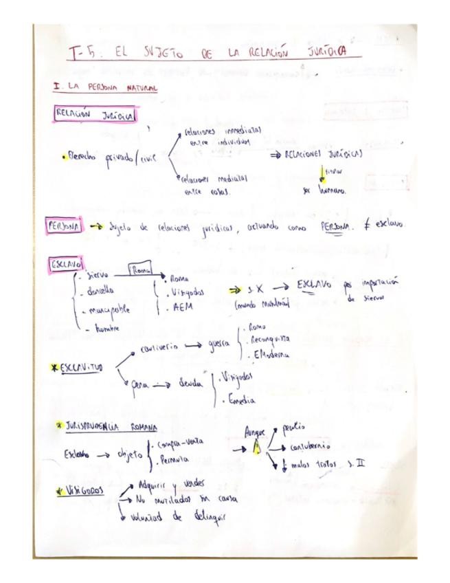 Miniatura del documento T-5-El-sujeto-de-la-relacion-juridica.pdf