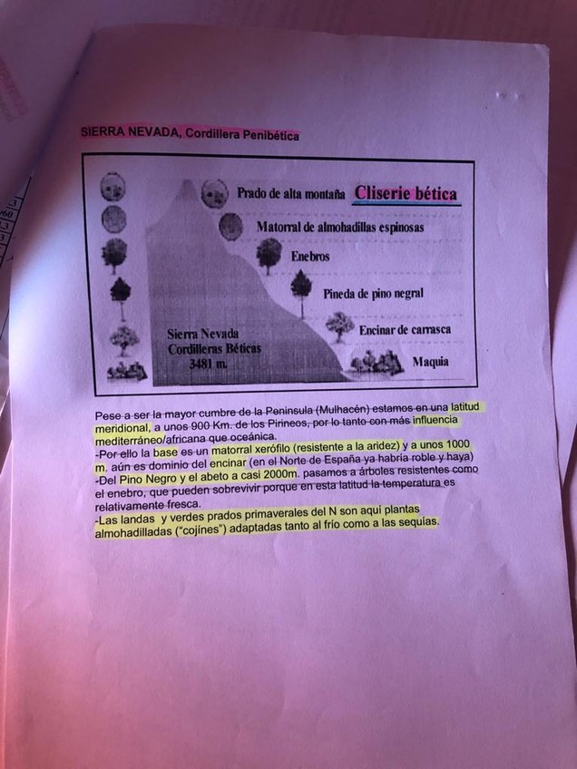 Miniatura del documento WhatsApp-Image-2021-01-13-at-17.jpg