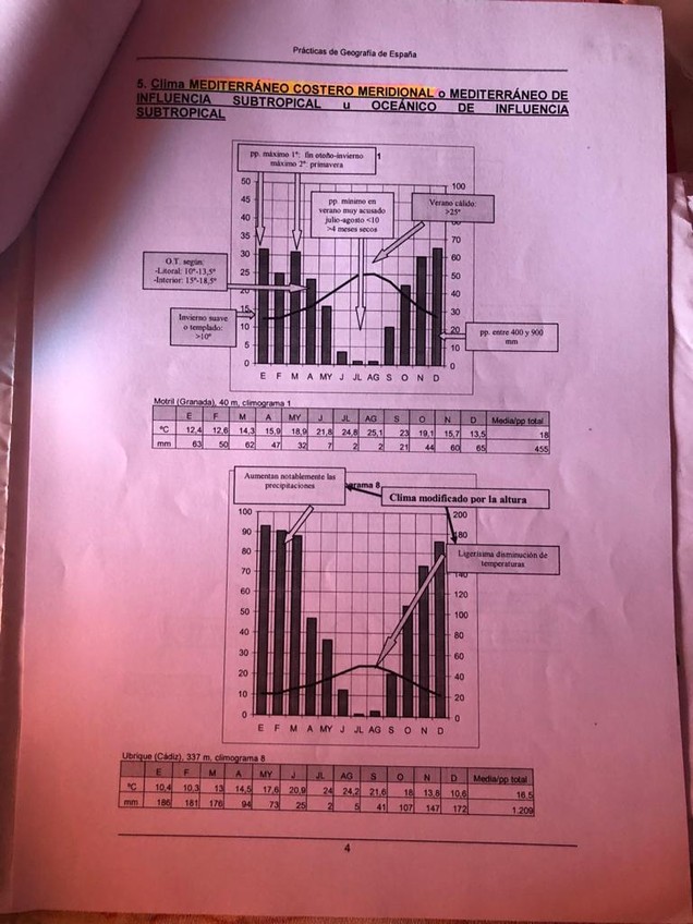 Miniatura del documento WhatsApp-Image-2021-01-13-at-17.jpg