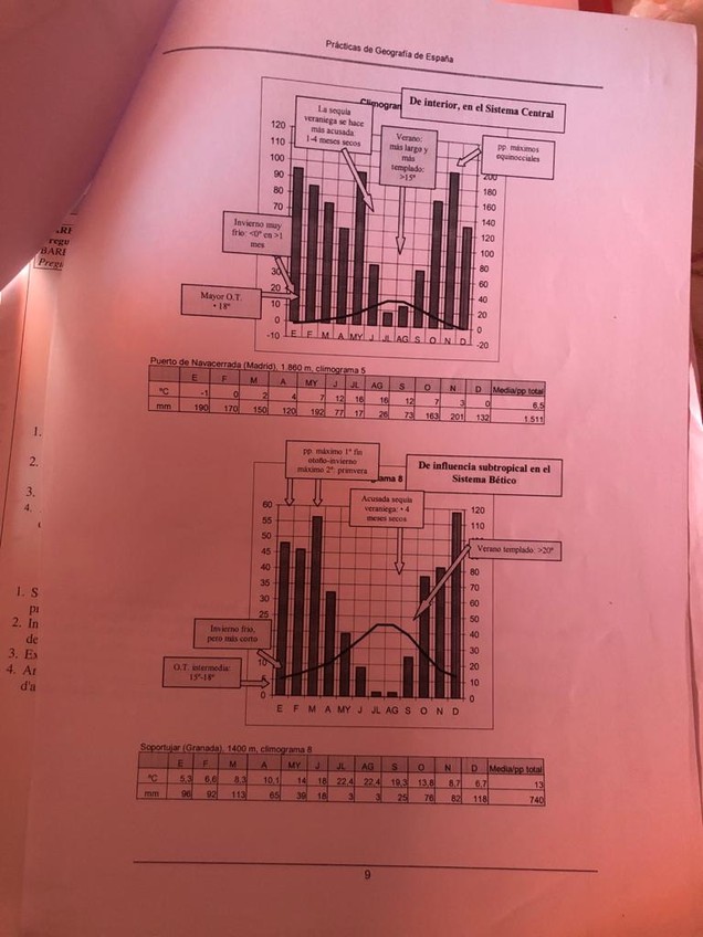 Miniatura del documento WhatsApp-Image-2021-01-13-at-17.jpg
