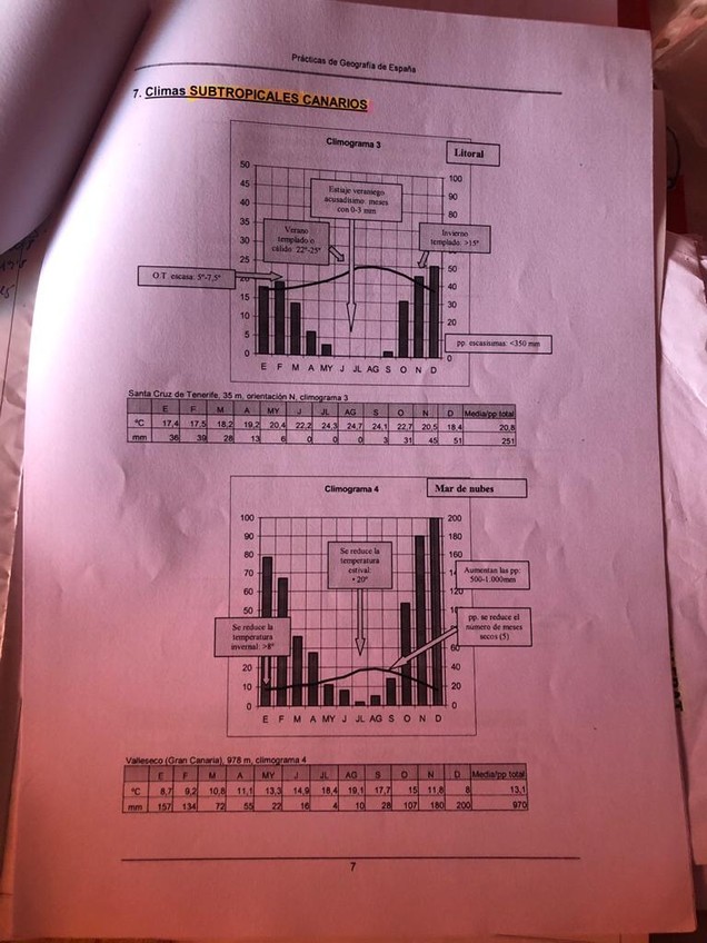 Miniatura del documento WhatsApp-Image-2021-01-13-at-17.jpg