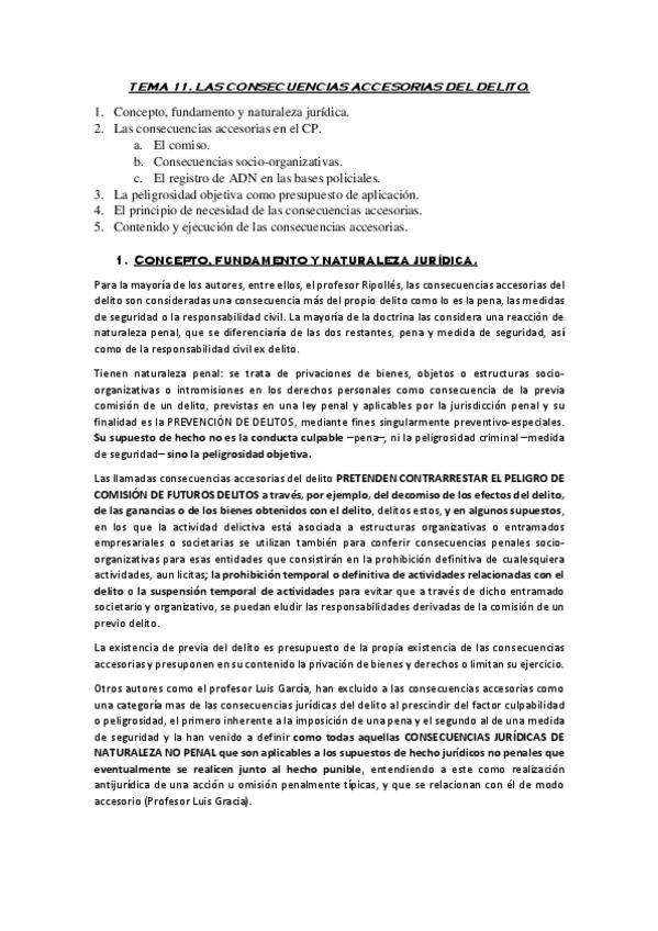 Miniatura del documento TEMA-11-Consecuencias-accesorias-del-delito.pdf