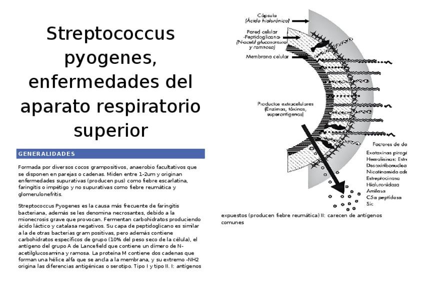 Miniatura del documento Patologias-bacterianas-.docx