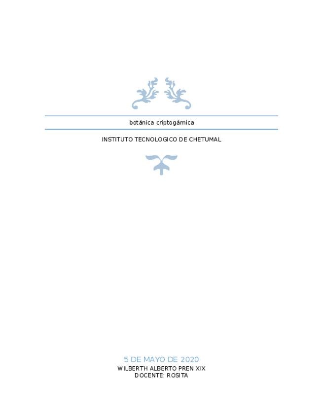 Miniatura del documento DESCRIPCION-DE-10-PALABRAS.docx