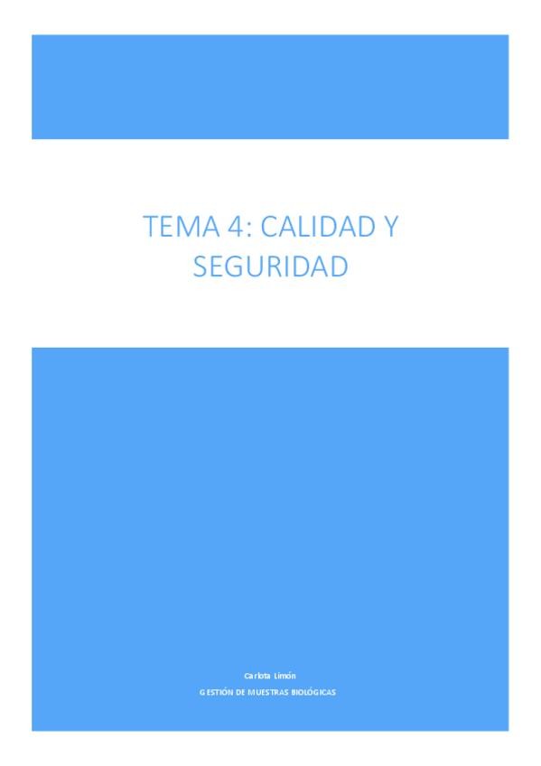 Miniatura del documento Calidad-y-seguridad.pdf