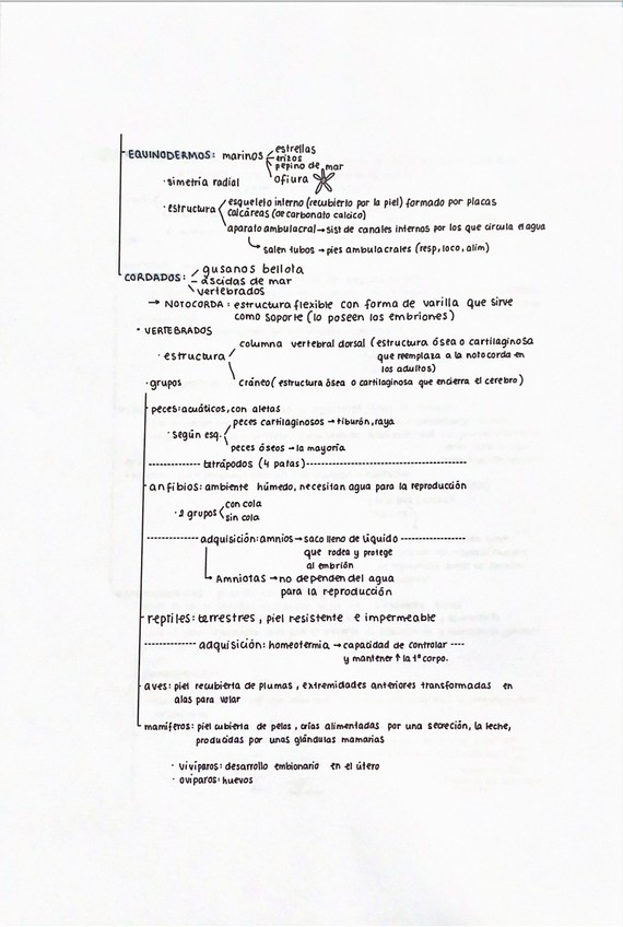 Miniatura del documento reino-lV.png