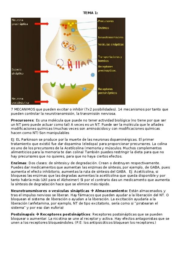 Miniatura del documento T1.docx