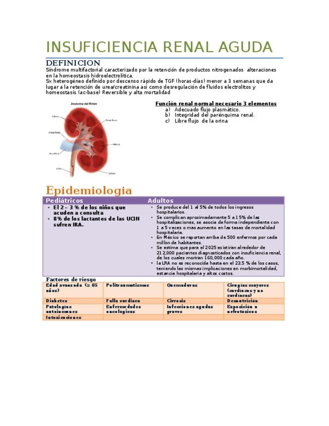 Miniatura del documento INSUFICIENCIA-RENAL-AGUDA.docx