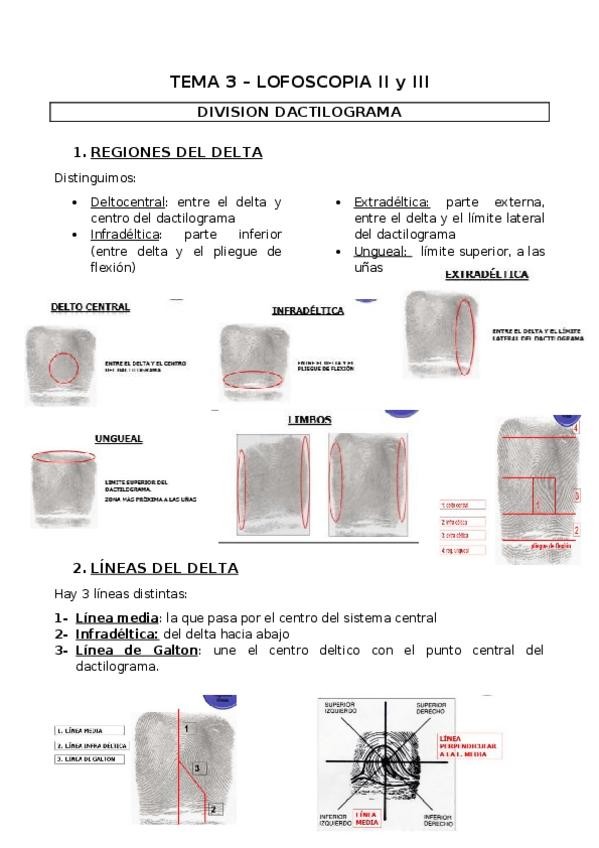 Miniatura del documento TEMA-3-y-4-LOFOSCOPIA-II-y-III.docx