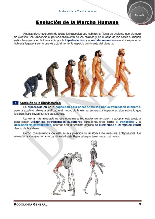 Miniatura del documento 3.pdf